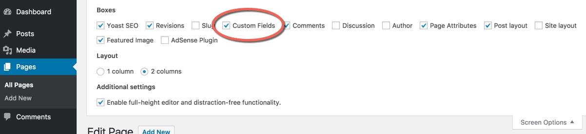 How to show custom field editor in WordPress.